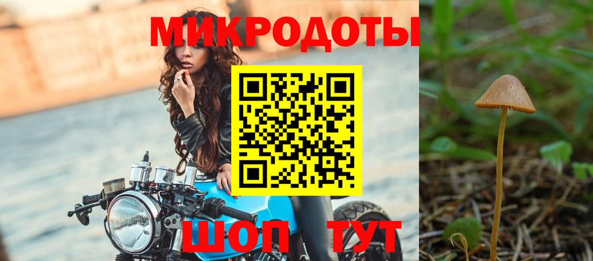 купить наркотики сайты  Вход с VPN  Владимир  Галлюциногенные грибы Psilocybe 