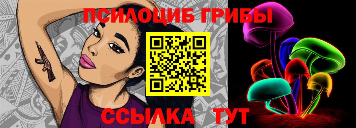 Псилоцибиновые грибы Psilocybe Владимир